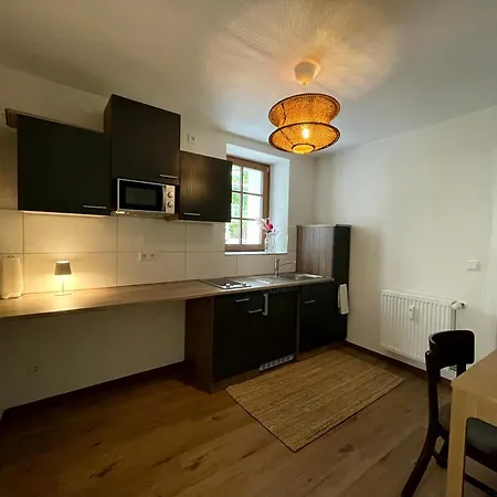 1- Zimmerappartment Geisenheim