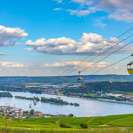 1- Zimmerappartment Geisenheim