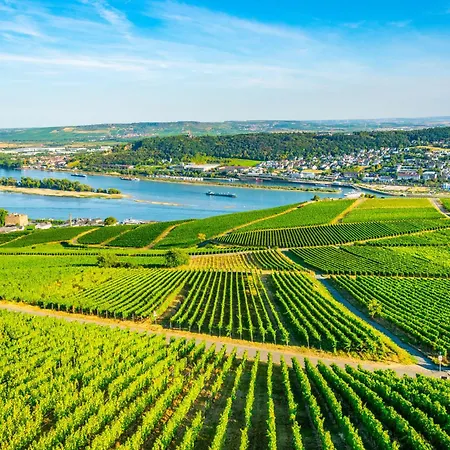 公寓 Ferienapartment Im Zentrum Komfortabel Und Praktisch *