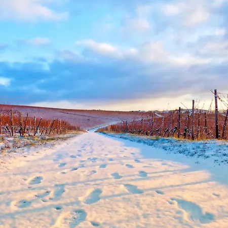 1- Zimmerappartment Appartement *