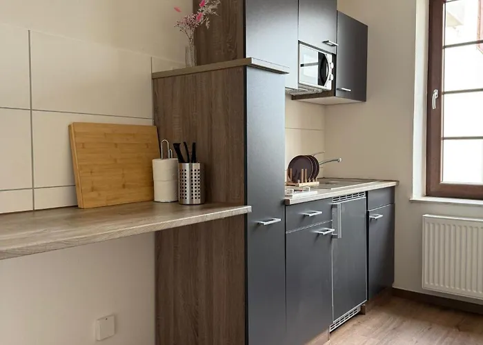 Ferienapartment Im Zentrum Komfortabel Und Praktisch 公寓 *