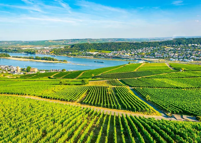 公寓 Ferienapartment Im Zentrum Komfortabel Und Praktisch *